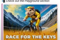 Fitur Playground Hamster Kombat, Apa yang Perlu Diketahui?