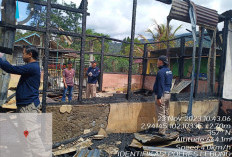 Kantor Desa Sebelat Ulu Hangus Terbakar: Penyidik Periksa 15 Saksi