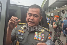 Merespons Cepat Kerusakan Infrastruktur Akibat Banjir dan Longsor, TNI AD Bangun 35 Jembatan Bailey di Aceh