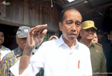 Mahasiswa Keluhkan Kenaikan PPN 12%, Ini Respons Jokowi