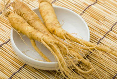 3 Manfaat Ginseng, Pria Bakalan Makin Perkasa di Ranjang