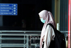 Sudah Mengisi DRH, 4 Calon PPPK & CPNS Tidak Mendapatkan NIP, Oh Penyebabnya