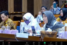 TPP PNS Bakal Dipotong untuk Bayar Gaji PPPK Paruh Waktu? Terungkap di DPR