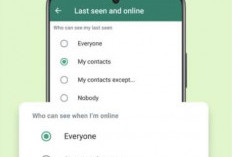 Cara Privasikan Status Online di WhatsApp