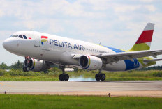 Pelita Air Tambah Ribuan Kursi Selama Mudik Lebaran 2025, Bakal Ada Extra Flight