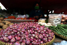 5 Manfaat Bawang Merah yang Bikin Kaget