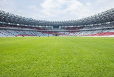 Erick Thohir Tegur Pengelola Stadion soal Rumput SUGBK Menjelang Laga Kualifikasi Piala Dunia