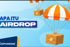 Usual Airdrop: Menyelami Dunia Pembagian Koin Kripto Gratis