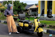 Review Sepeda Listrik Roda Tiga U-Winfly Maleon-2