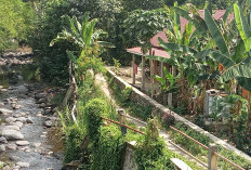 Warga Harapkan Perbaikan Jalan Rusak Akibat Banjir