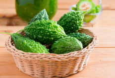 10 Manfaat Pare, Ampuh Obati Asma