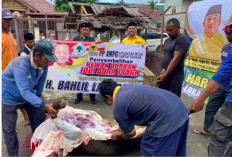 Dukung Kebijakan Hilirisasi Menteri Bahlil, PP AMPG: Peluang Nyata untuk Pelaku UMKM dan Anak Muda