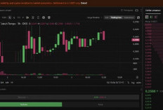 Hamster Kombat, Update Terbaru Listing di 4 Exchange Besar!