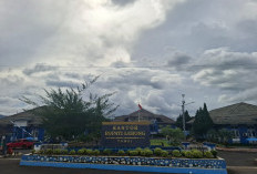 Awal Tahun, Nasib Puluhan Calon PPPK Lulus BKN Belum Temui Titik Terang