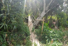 Jembatan Bambu Desa Karang Anyar Butuh Perhatian Serius