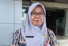 11 Lulus PPPK, 2.246 Peserta Tidak Lulus Akan Diangkat PPPK Paruh Waktu
