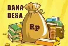 DD Bengkulu 2026 Turun Drastis, Dialokasikan Rp377 Miliar untuk 1.341 Desa