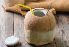 5 Penyakit yang Dapat Diatasi dengan Rutin Minum Air Kelapa Muda