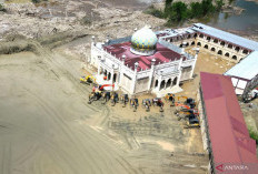 Diaspora Indonesia Bakal Berkonser di Patokan Waktu Dunia demi Korban Banjir Sumatra