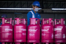 Wajib Tahu, Harga Gas LPG Naik Per April 2026