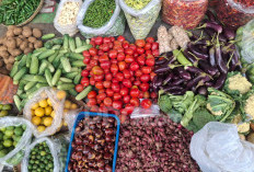 Produksi Pangan Nasional Aman, Indonesia Sudah Berpengalaman soal El Nino