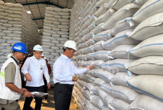 Stok Beras RI Tertinggi di Tengah Ancaman Krisis Pangan Global  