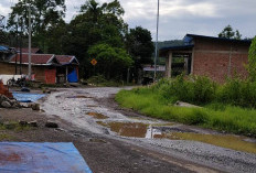Ruas Jalan Tes Rusak Parah, Camat Minta Tambal Sulam Segera