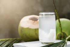 Cara Minum Air Kelapa untuk Menurunkan Berat Badan dan Menghilangkan Perut Buncit