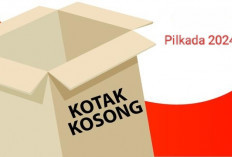 41 Daerah dengan Calon Tunggal Lawan Kotak Kosong di Pilkada Serentak 2024