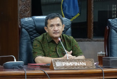 Pilkada Lewat DPRD Dianggap Mencederai Hati Rakyat