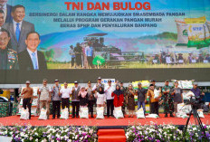 BULOG Gandeng TNI untuk Salurkan Bantuan Pangan dan Beras SPHP di Seluruh Indonesia