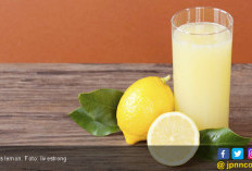 3 Minuman Herbal untuk Meningkatkan Kesehatan Usus
