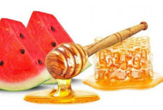 4 Manfaat Semangka Campur Madu, Kanker Bakalan Ogah Mendekat