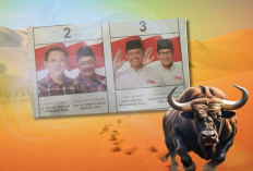 Damai Ahok