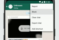 Cara Menghindari Pesan WhatsApp Tanpa Harus Memblokir Kontak