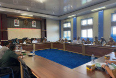 Program Bangga Kencana Akan Sasar 72 Anak di Lebong