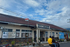 Cuaca Tak Menentu, Waspada DBD
