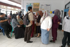 PB HMI Soroti Dugaan Kecurangan Seleksi PPPK Lebong, Minta Audit Menyeluruh