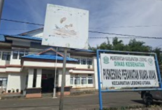 Libur Lebaran, Dewan Minta Pelayanan Kesehatan Tetap Berjalan 