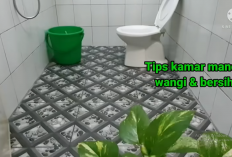 Tips Mudah Mengatasi Bau Pesing di Kamar Mandi, Dijamin Wangi & Bersih