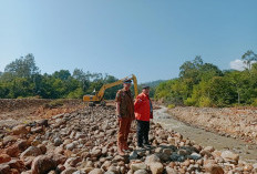 Pemkab Lebong Gerak Cepat Atasi Banjir, Wabup Lebong Pantau Normalisasi Tanggul Dam Sabo