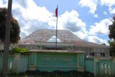 Alokasi Pupuk Subsidi 2025 Tidak Sesuai RDKK