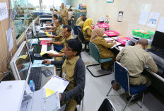 Resmi, Pemda Mulai Usul Pengangkatan P3K PW jadi PPPK Penuh Waktu