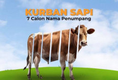 Hal-Hal Penting dan Hukum Patungan Kurban Menurut Islam, Wajib Tahu!