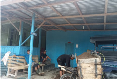 Desa Tanjung Bungai II Buka Peluang Kerja Melalui Pembangunan Desa