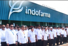 Hasil RUPST, Ini Sosok Komisaris Utama Baru PT Indofarma Tbk