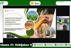 Pemerintah Tetapkan HPP Jagung Demi Swasembada Pangan