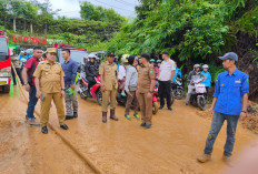 Pemkab Lebong Turun Tangan Bersihkan Material Longsor Jalan Propinsi