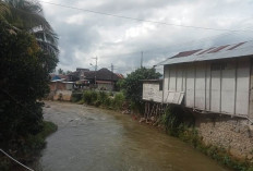 Warga Tanjung Bungai II Desak Pembangunan Pelapis Sungai, Ancaman Longsor Kian Nyata