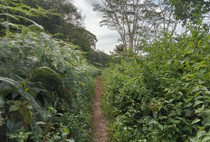Jalan Poros Tanjung Agung–Danau Liang Mangkrak, Warga Tagih Janji Pemerintah